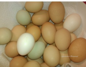 Appalachia Homestead eggs